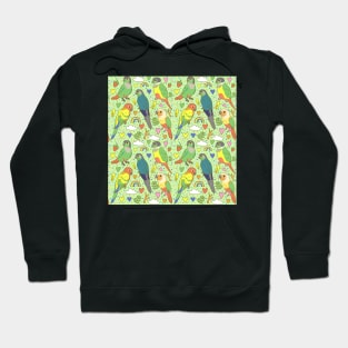 Colourful Conures Pattern Hoodie